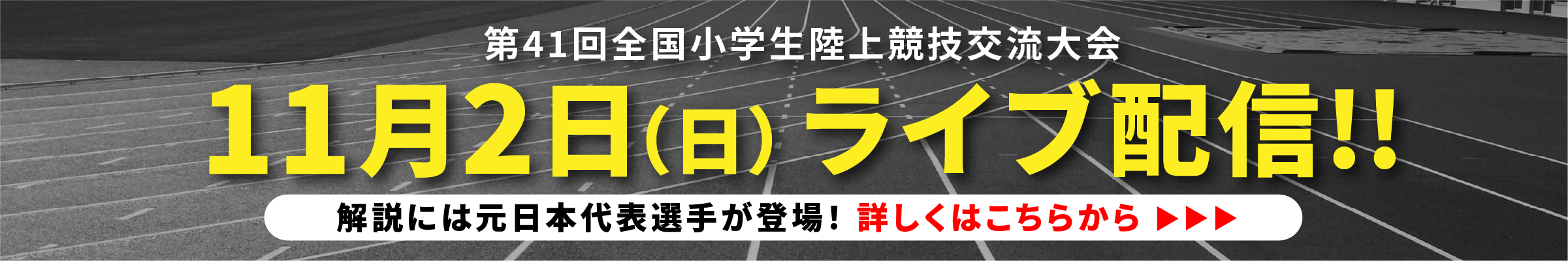第41回全国小学生陸上競技交流大会 11月2日（日）ライブ配信！当日、会場の様子を生配信します！